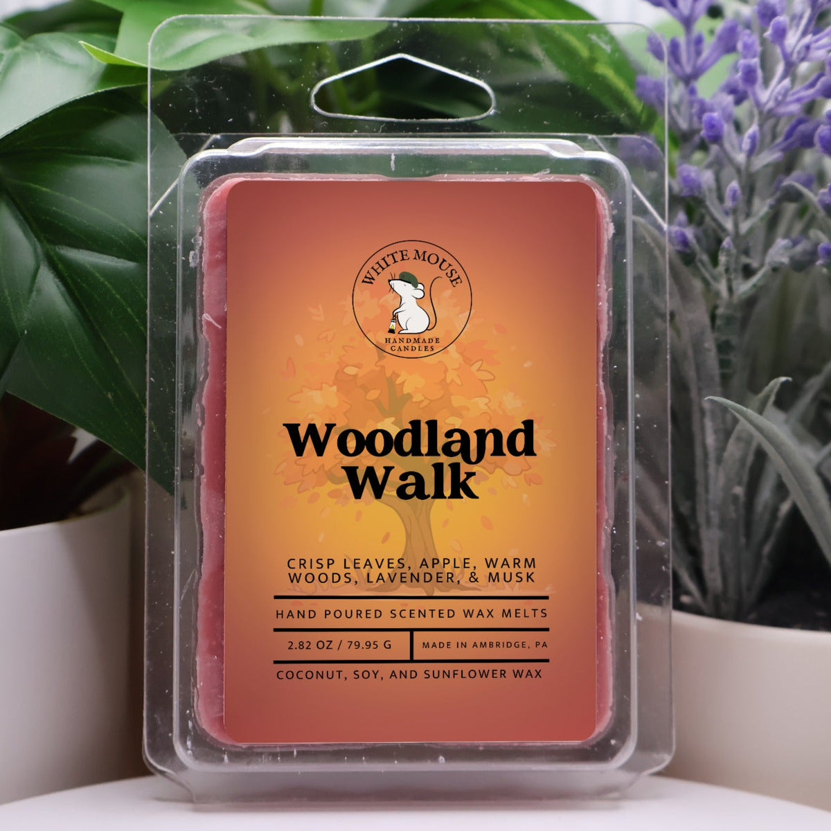 Woodland Walk Melts/Tarts