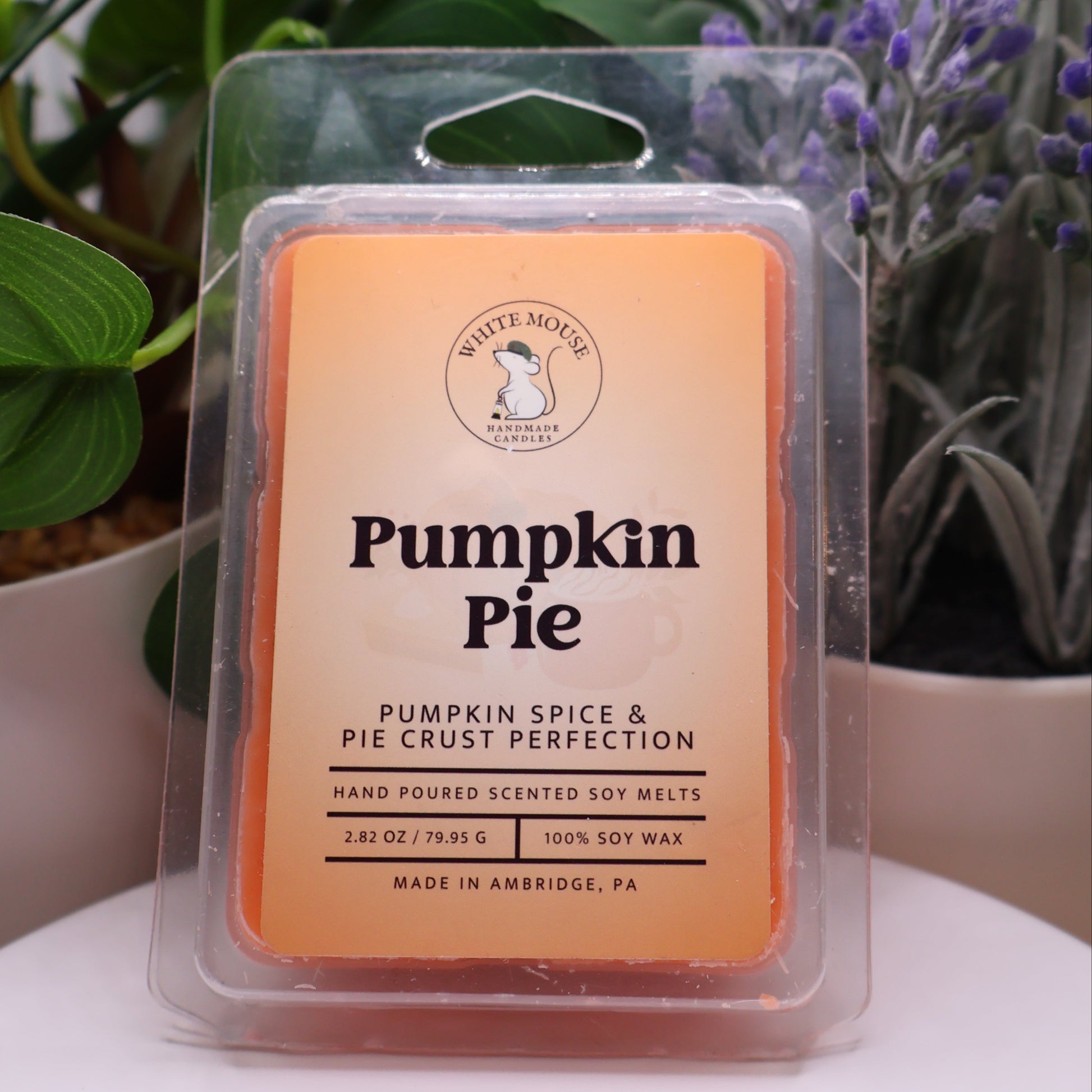 Pumpkin Pie scented wax melt packaging with plants in the background