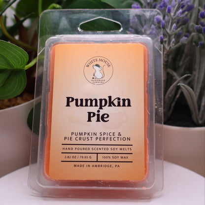 Pumpkin Pie scented wax melt packaging with plants in the background
