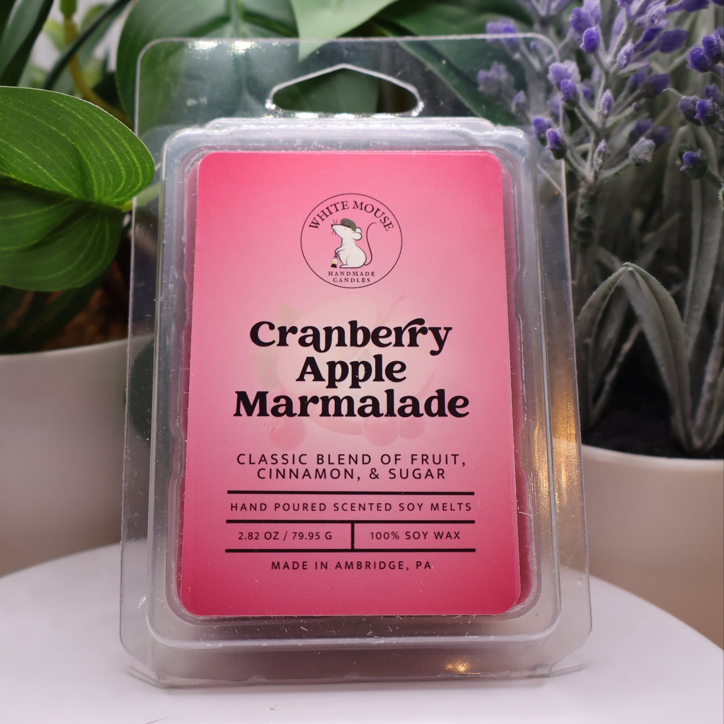 Cranberry Apple Marmalade wax melt packaging with plants in the background