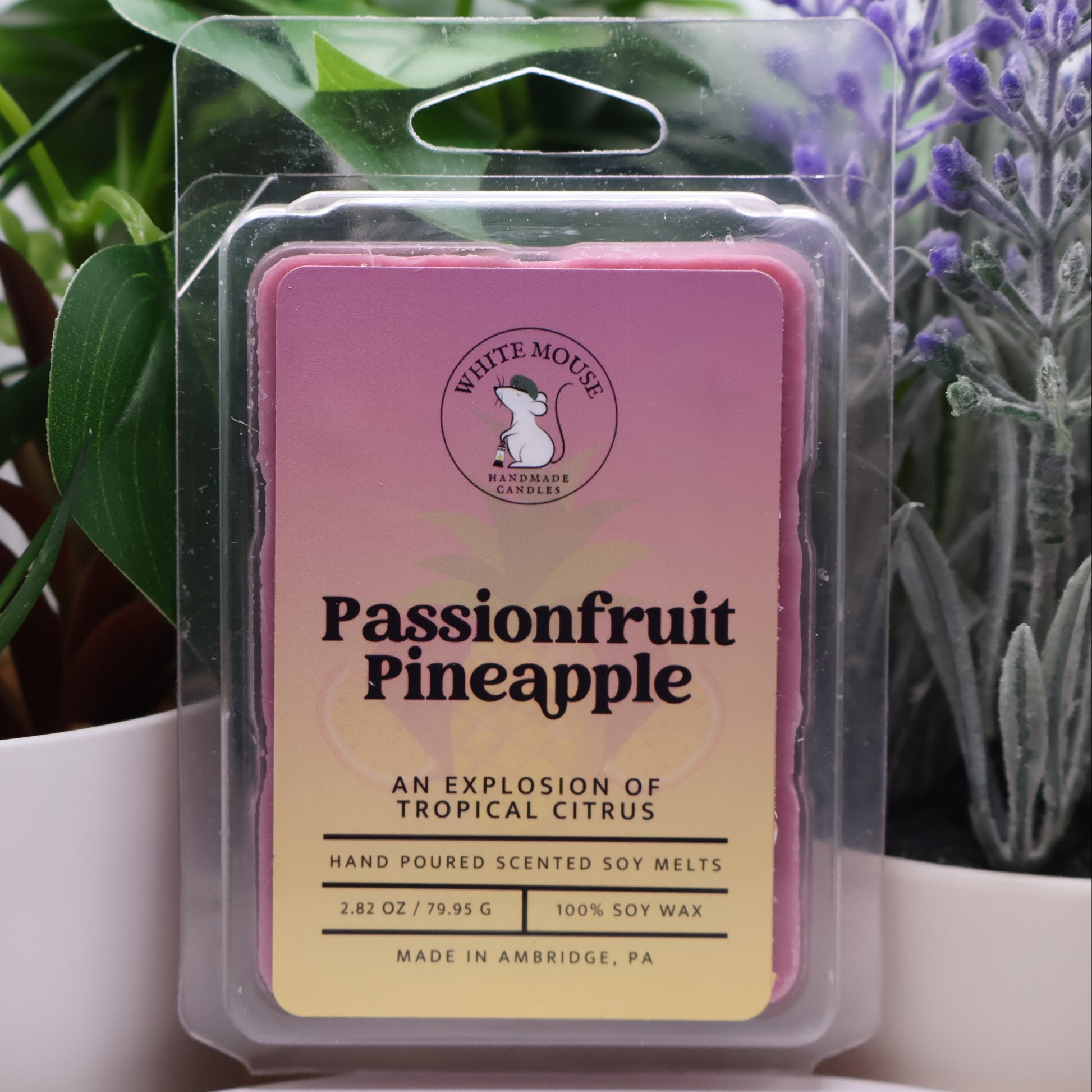 Scented wax melt package labeled 'Passionfruit Pineapple' in front of plants