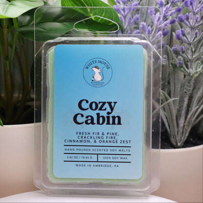 Scented wax melt packaging labeled 'Cozy Cabin' with plants in the background