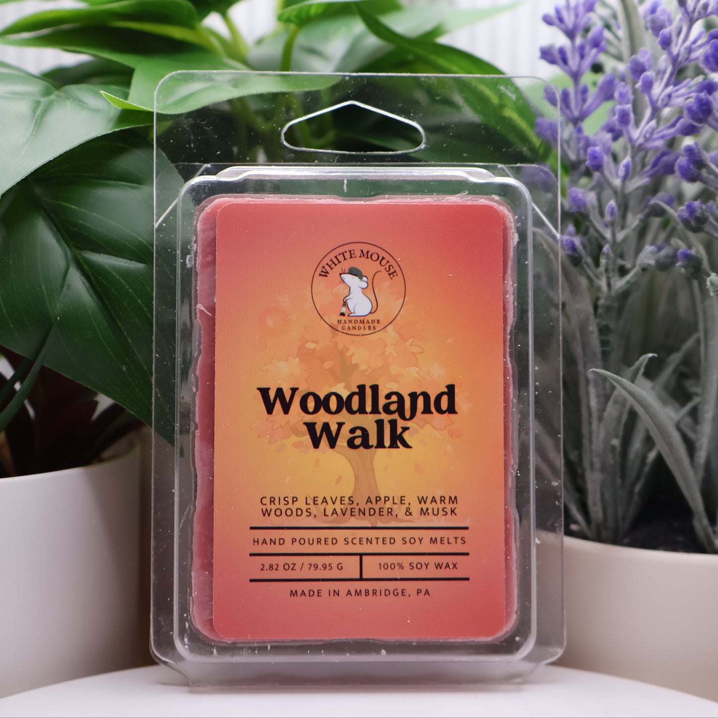 Woodland Walk wax melt packaging with plants in the background