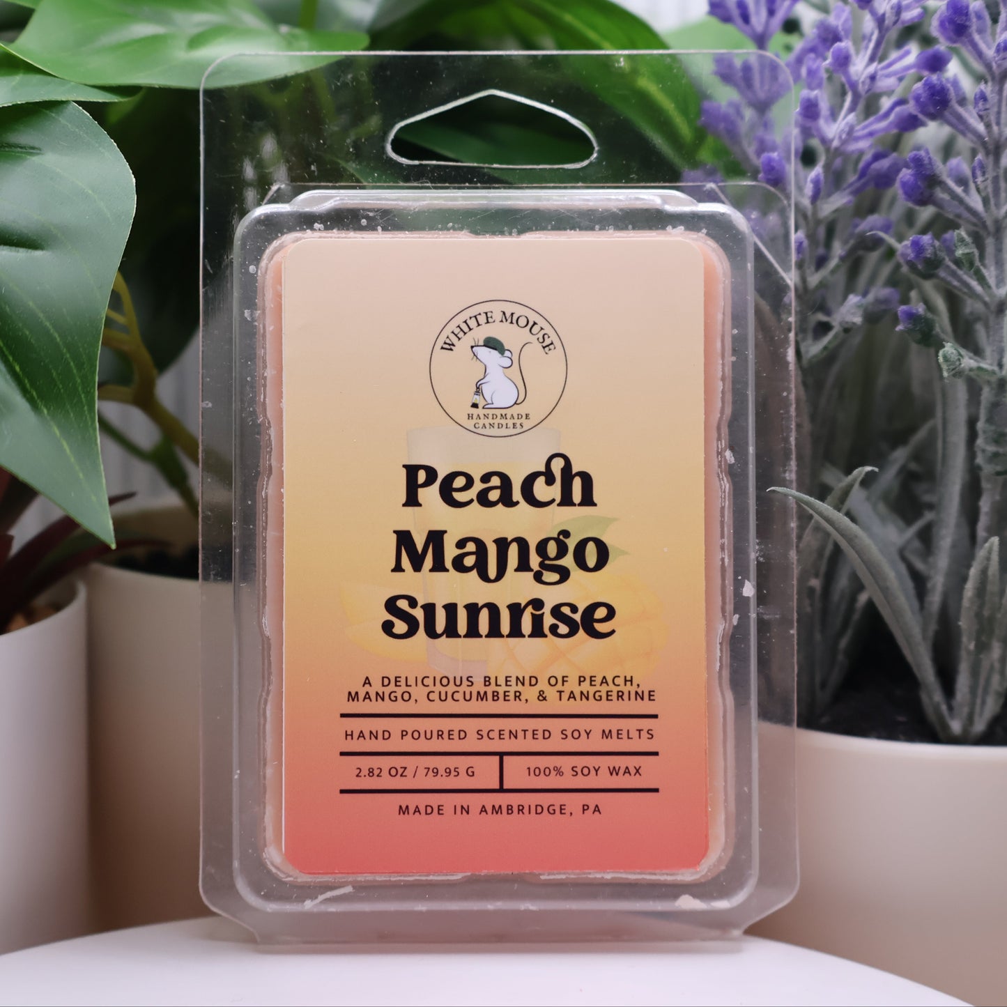 Peach Mango Sunrise wax melt packaging with plants in the background