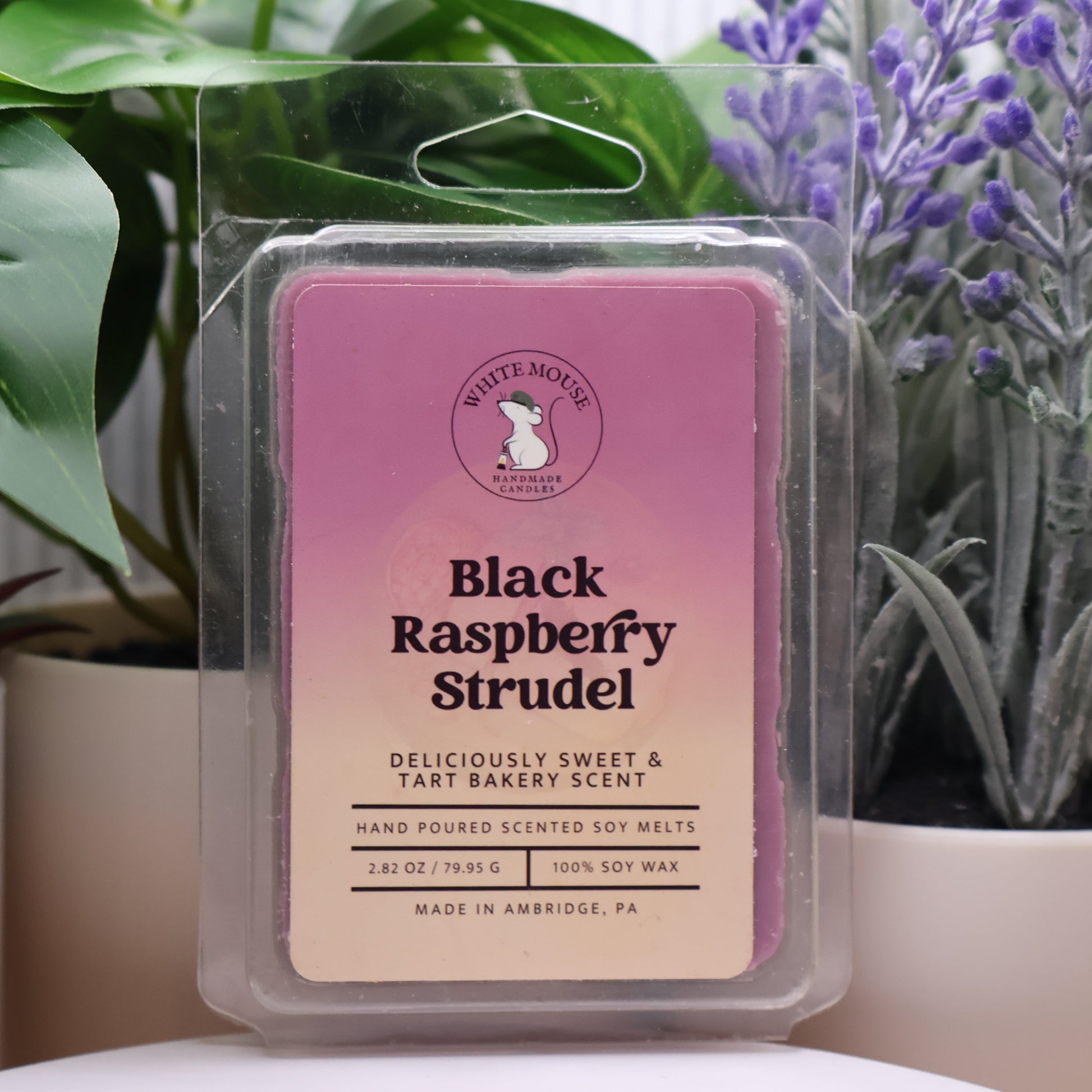 Packaged Black Raspberry Strudel wax melt with plants in the background