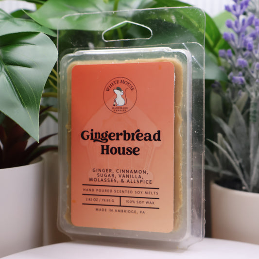 Gingerbread House wax melt packaging with plants in the background
