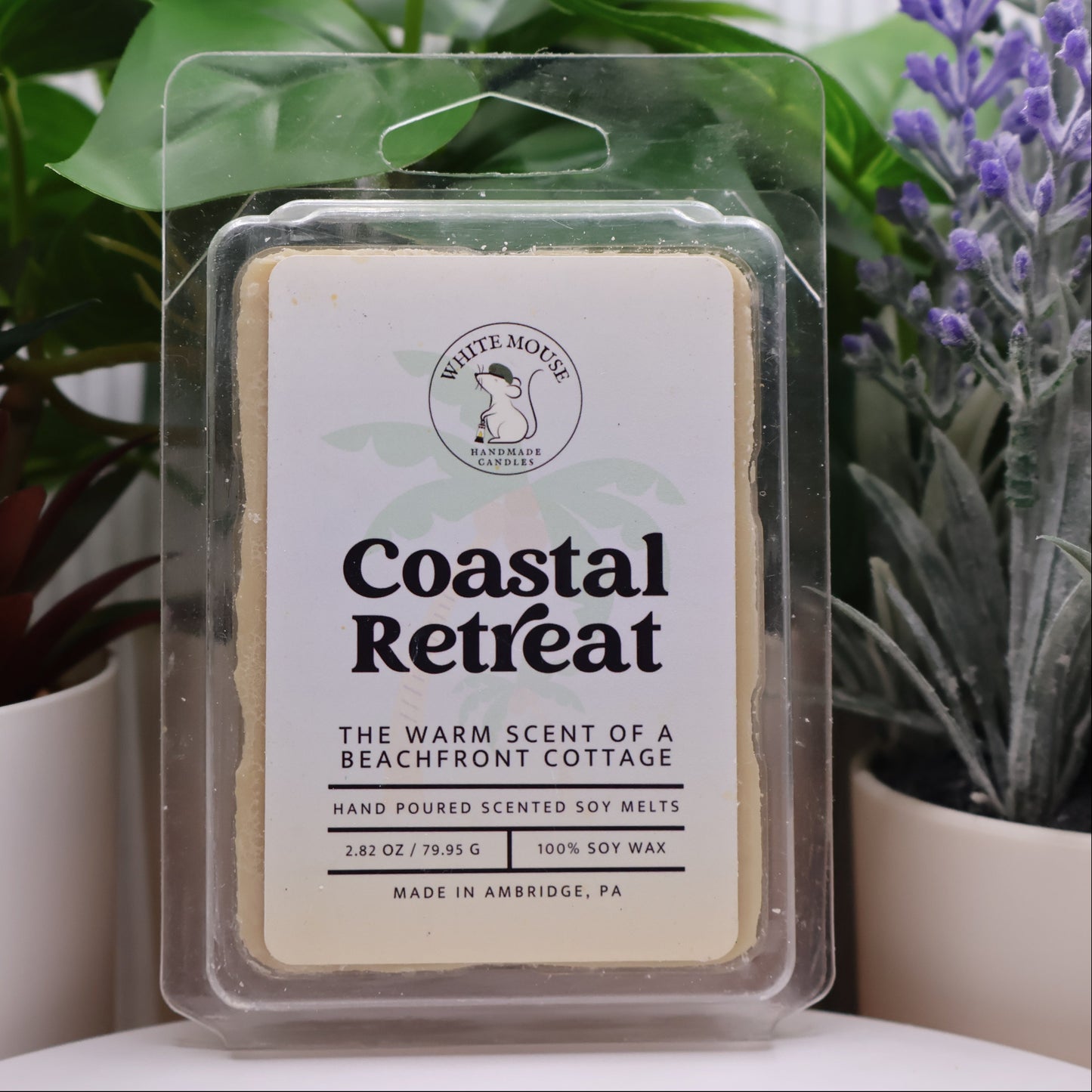 Scented wax melt packaging labeled 'Coastal Retreat' with plants in the background
