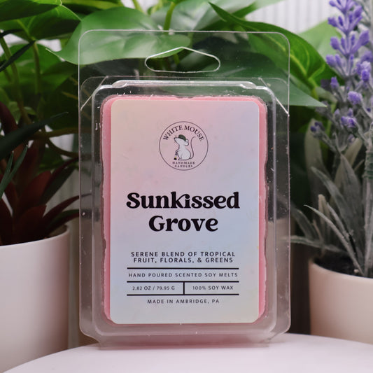 Scented wax melt package labeled 'Sunkissed Grove' with plants in the background