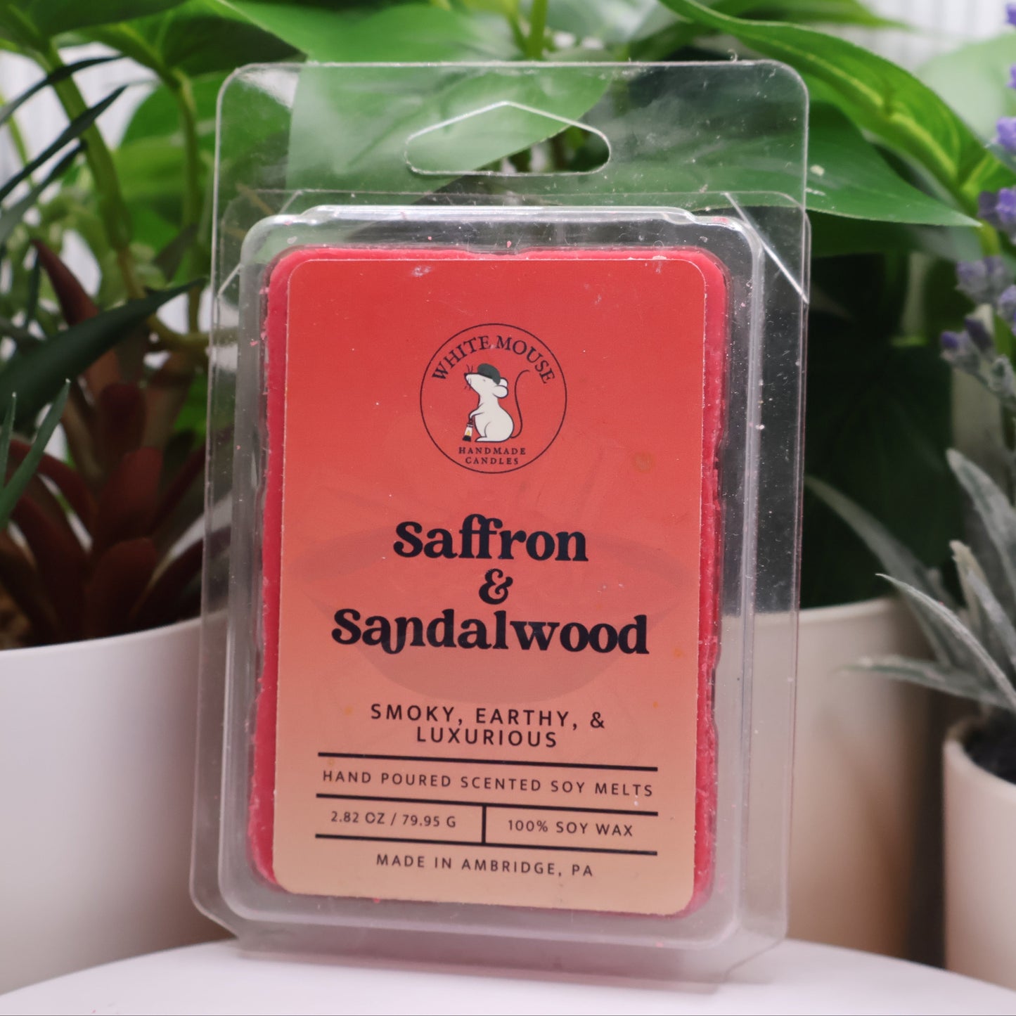 Saffron & Sandalwood wax melt packaging with plants in the background
