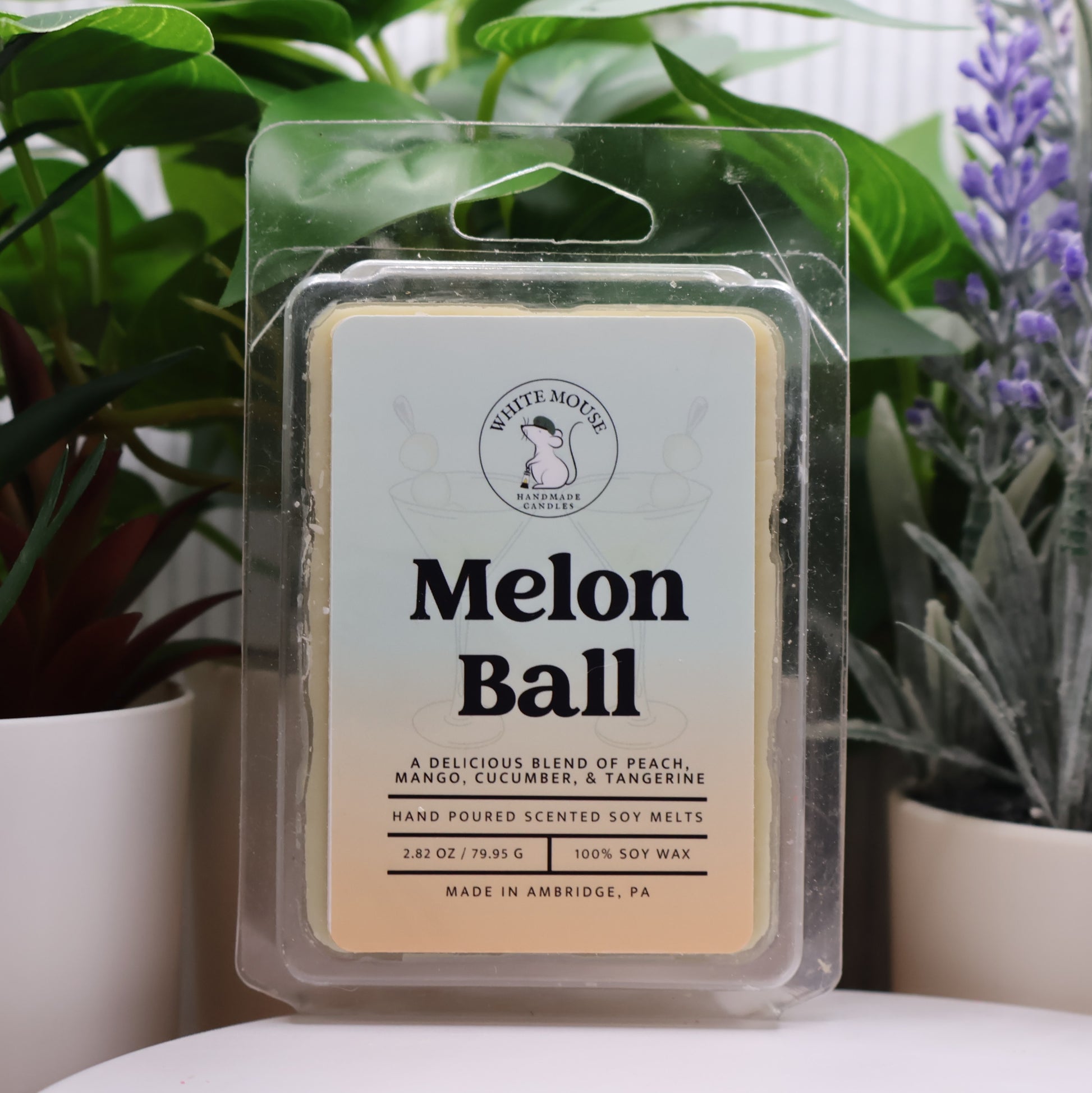Melon Ball scented wax melt packaging with plants in the background