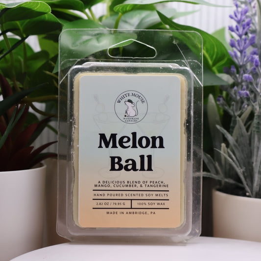 Melon Ball scented wax melt packaging with plants in the background