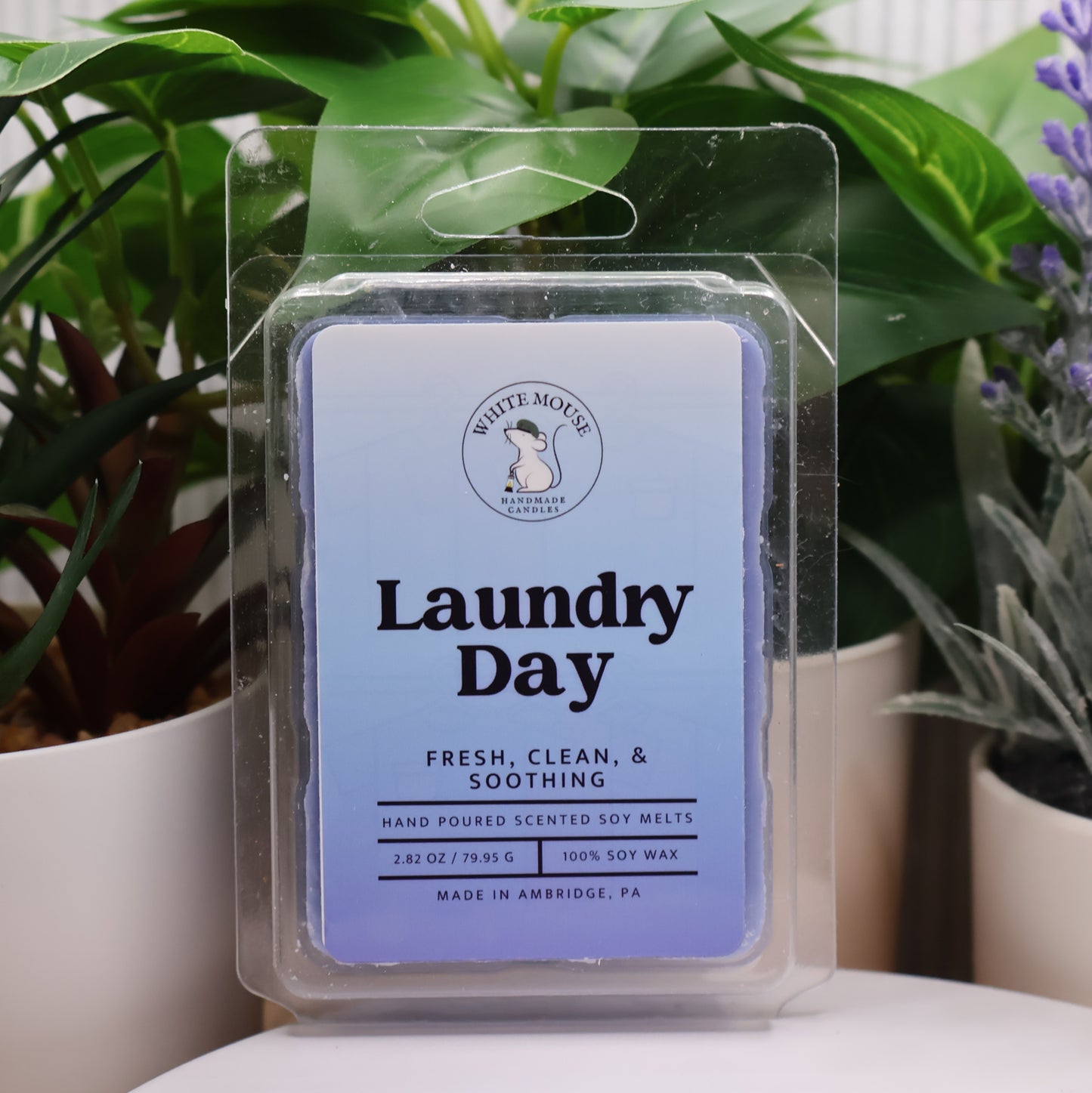 Scented wax melts packaging labeled 'Laundry Day' with plants in the background