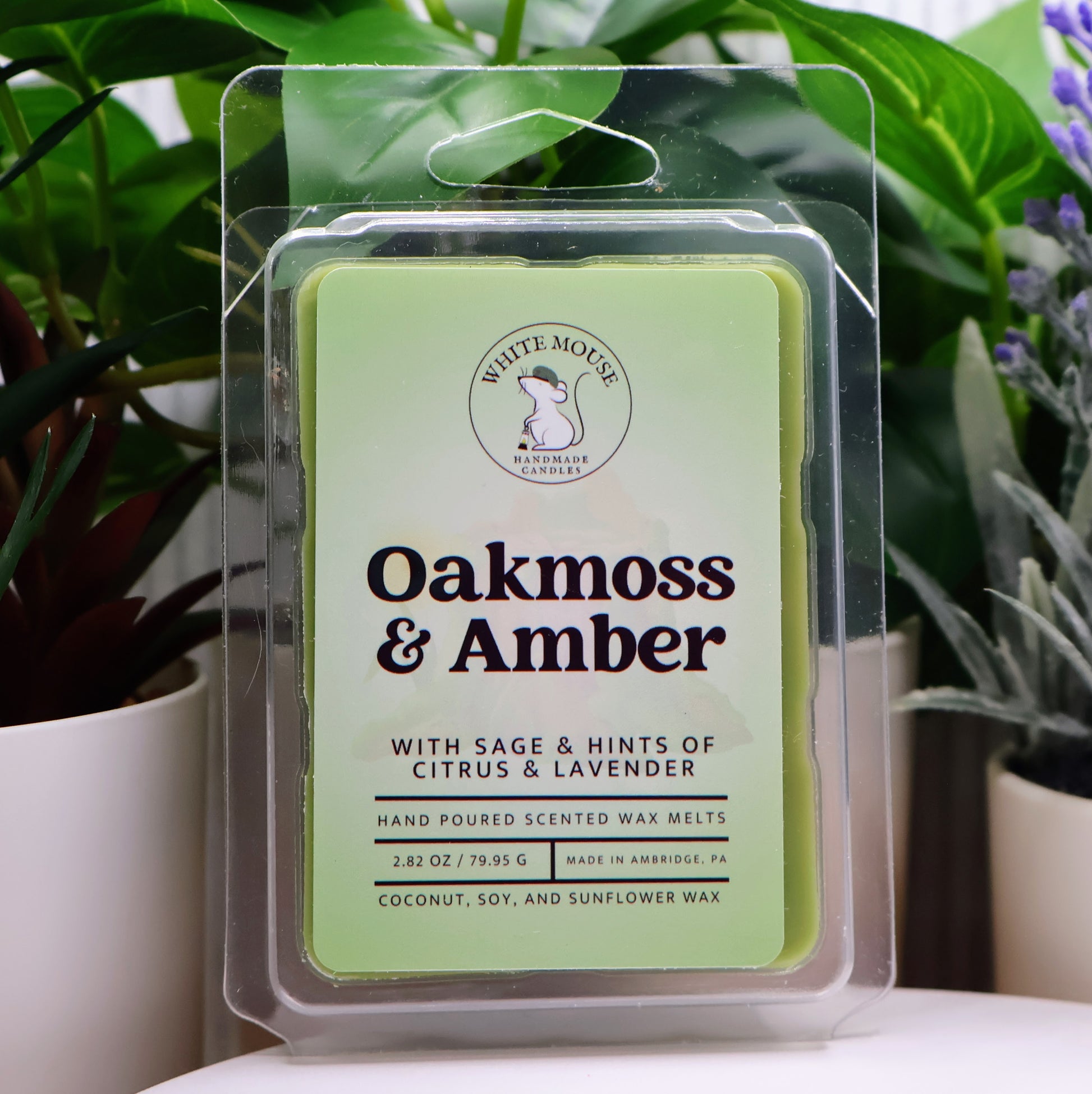 Packaged wax melts with 'Oakmoss & Amber' scent in front of plants