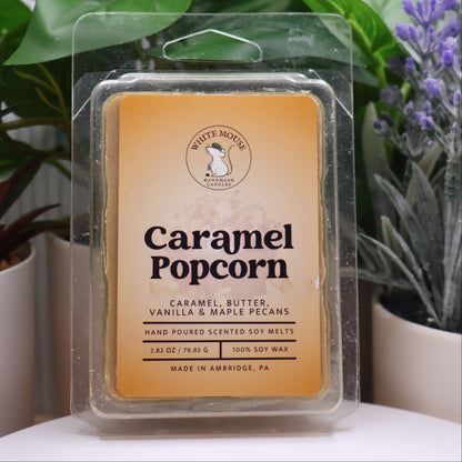 Caramel Popcorn scented wax melt packaging with plants in the background