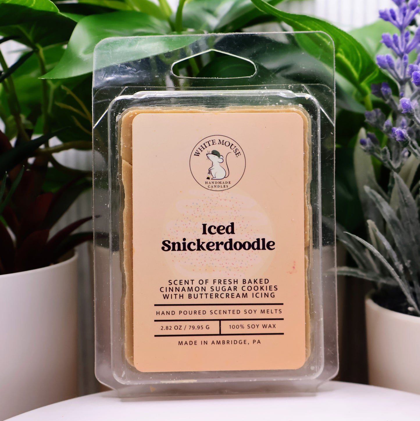 Iced Snickerdoodle scented wax melt packaging with plants in the background