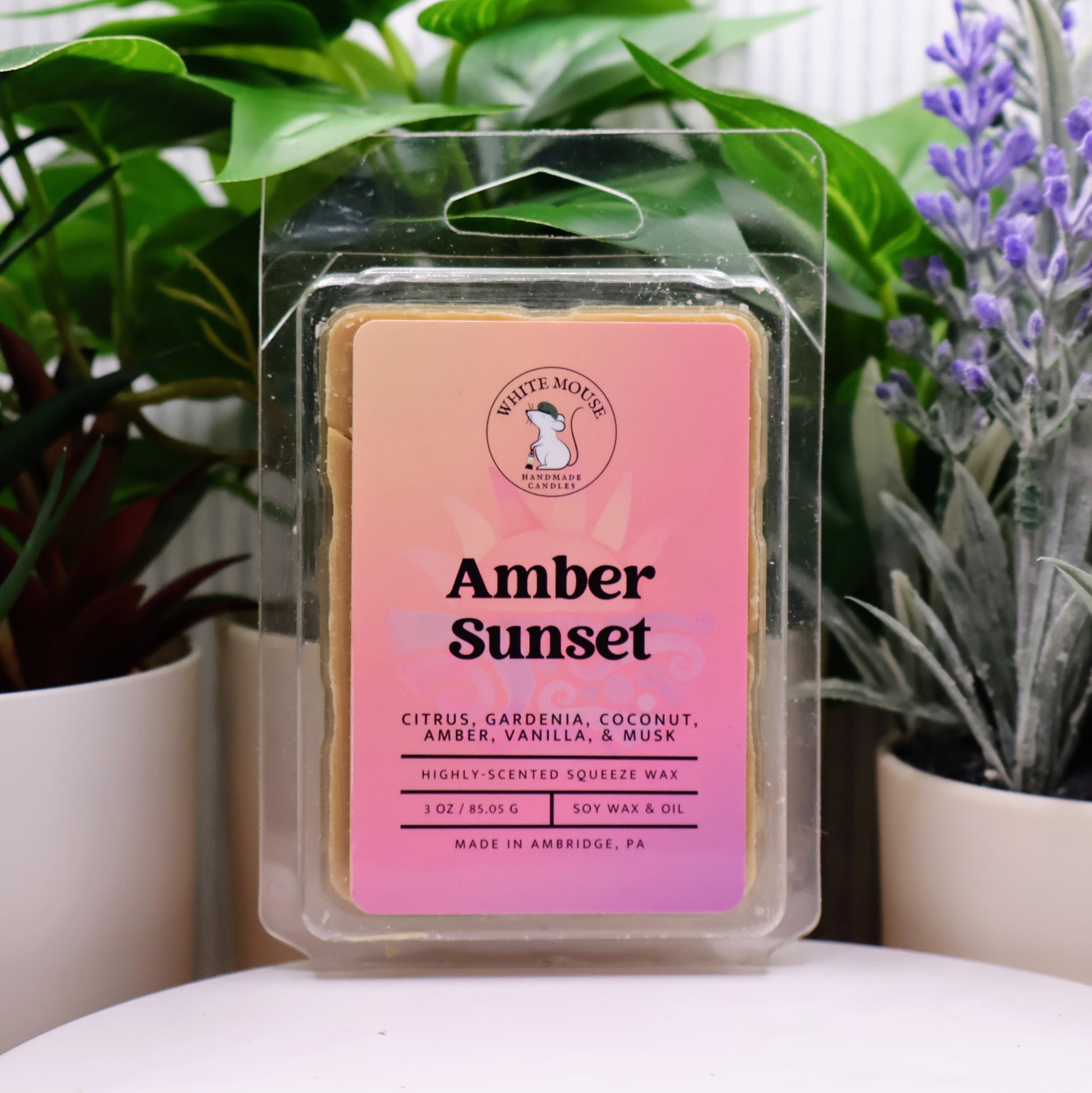 Packaged wax melt with 'Amber Sunset' scent in front of plants